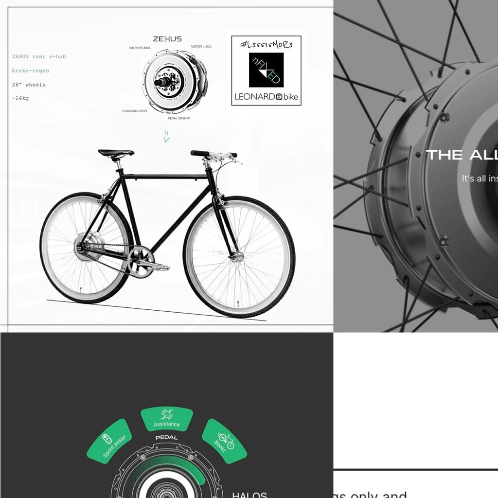 GEN3-ZEHUS "E-NERA" BIKE