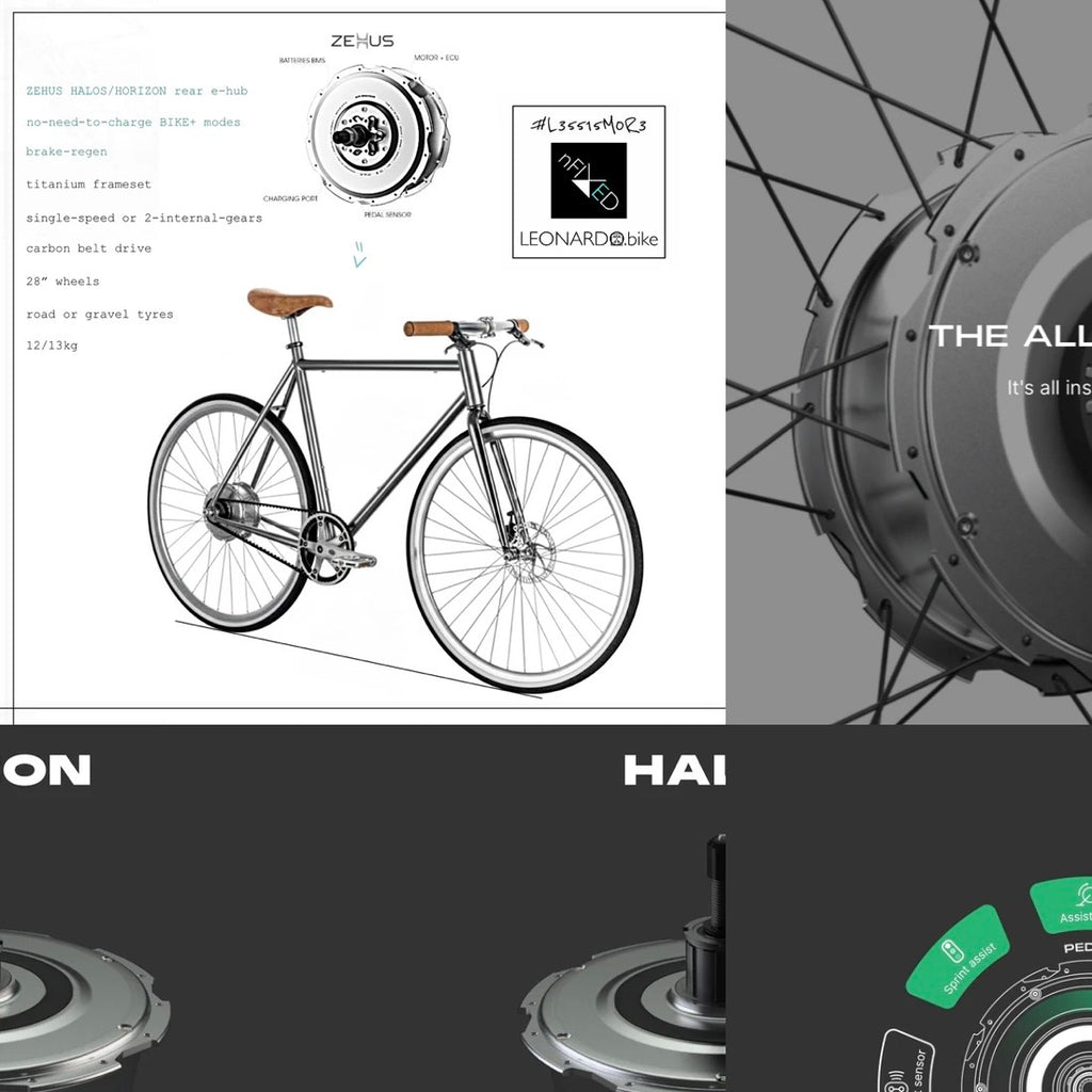 GEN3-ZEHUS/HORIZON "E-LEONARDO" BELT-DRIVE TITANIUM BIKE