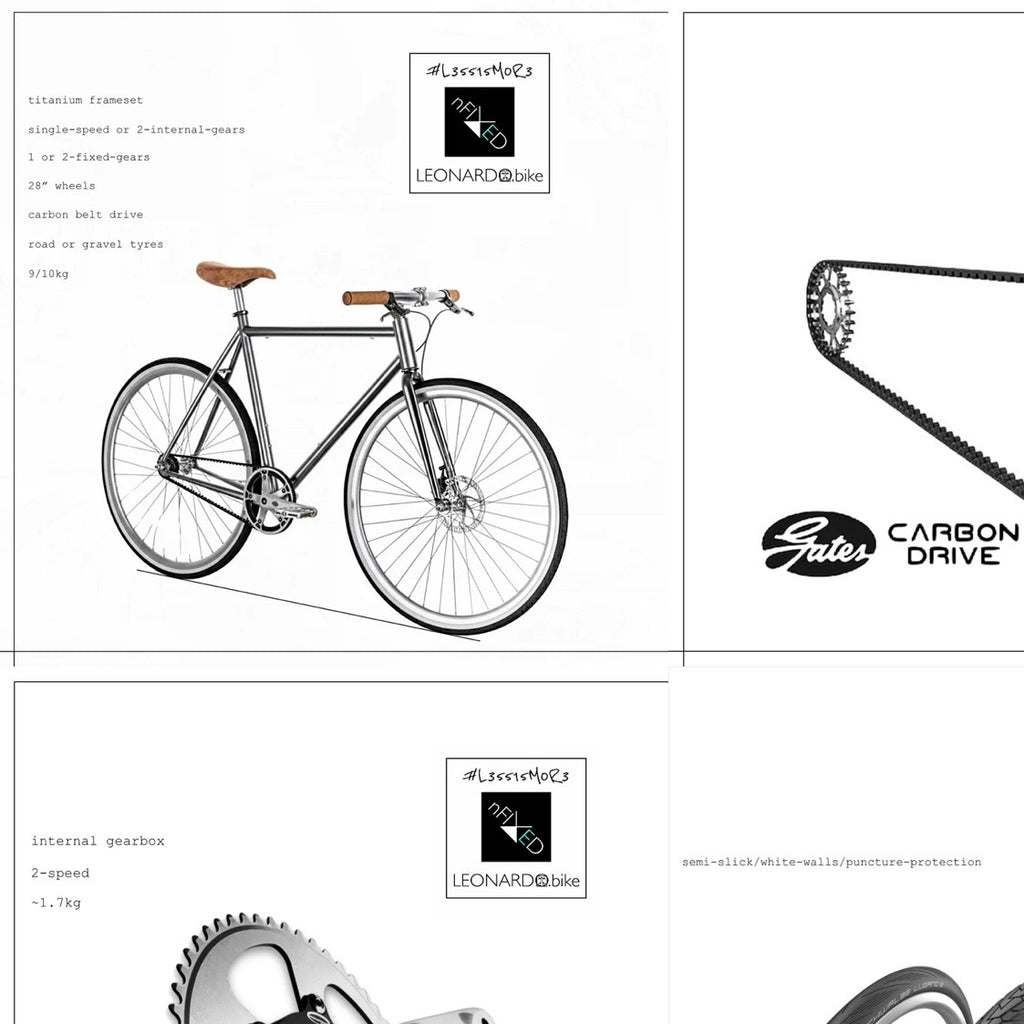 "LEONARDO-PURA" SINGLE-SPEED / 2-SPEED / 1/2-FIXED-GEARS BELT-DRIVE TITANIUM BIKE