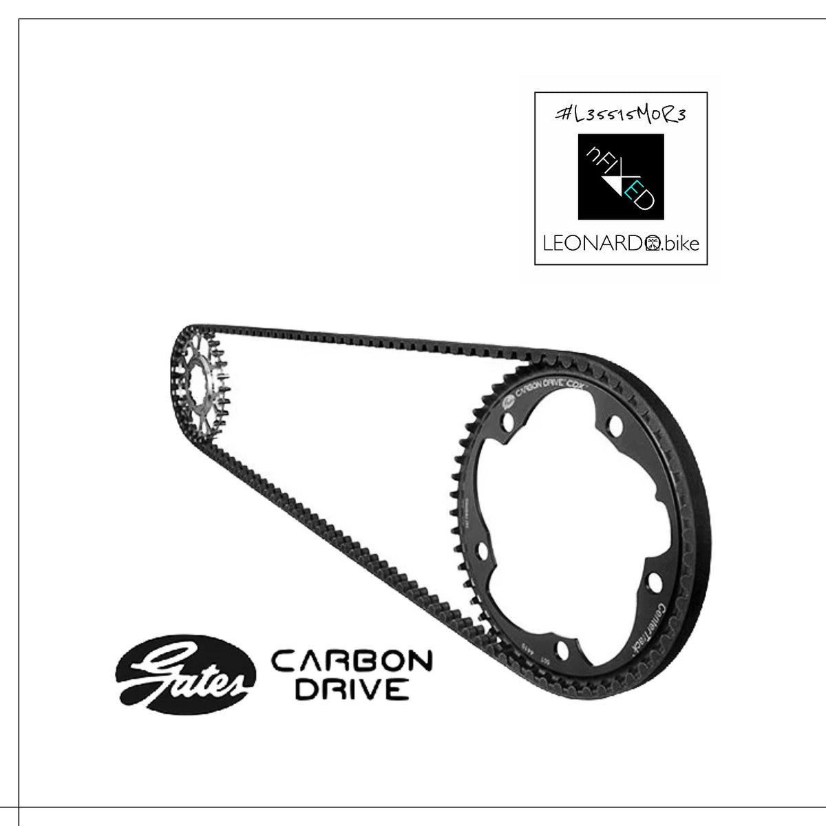 Black carbon bicycle belt drive with matching chainring on a white background