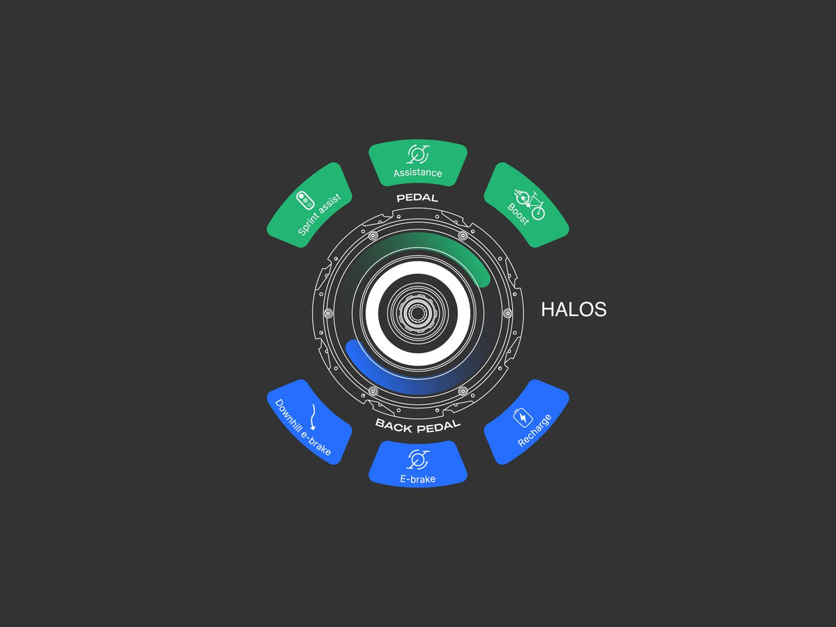 Circular graphic showing electric bicycle rear-hub assistance modes: pedal assist, sport, recharge, e-brake, downhill, and back-pedal