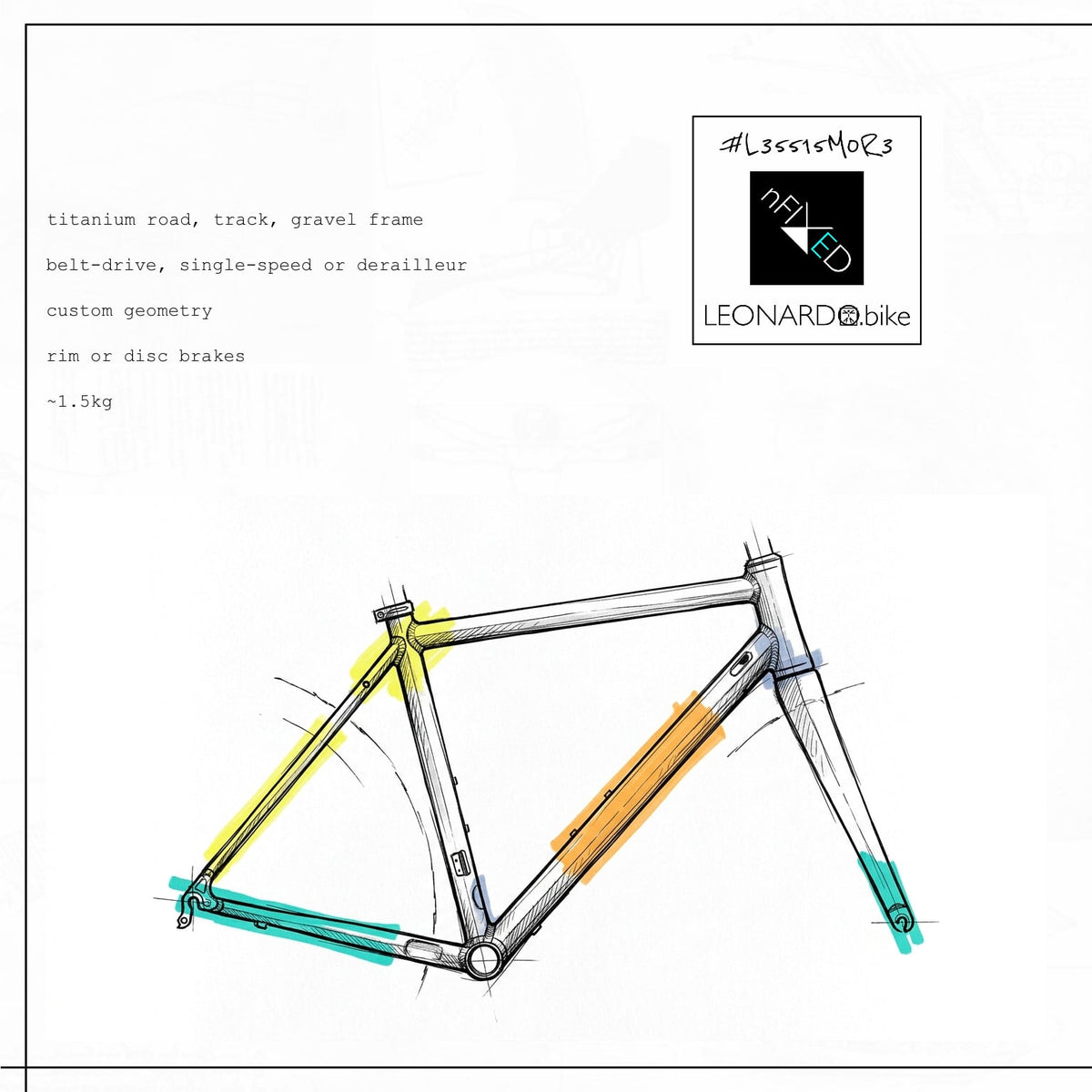 Custom titanium bicycle frame for belt-drive or derailleur builds - LEONARDO bike